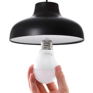 TaoTronics LED Bulbs E26 Light Bulbs, A19 Globe Blub