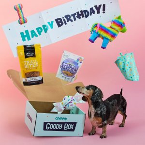 Goody Box Birthday Toys, Treats & Bandana