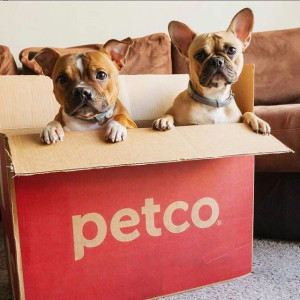 Petco Buy Online & Pick up In-Store
