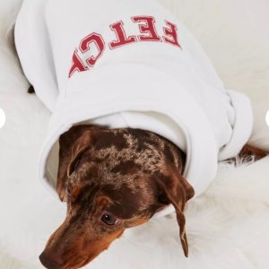 Missguided New Pet Jumpers Collection