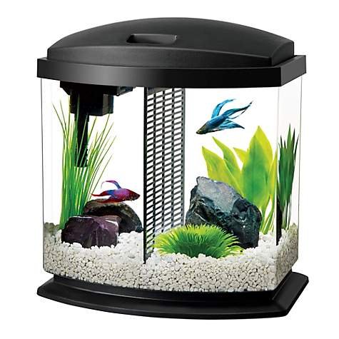 2.5 Gallon BettaBow LED Desktop Fish Aquarium Kit, Black | Petco