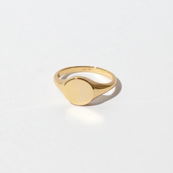 Orbit Gold Signet Ring | Astrid & Miyu Rings