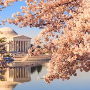 赏樱季秒杀 费城华盛顿性价比2日游