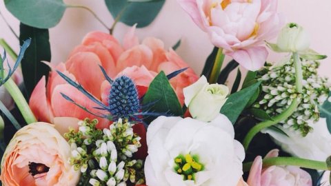 我的那些花儿：微妙细节打造温馨小窝 (Easy DIY tips)