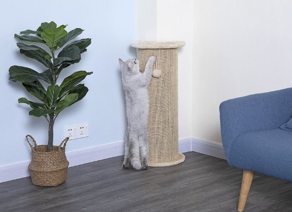 29-in Sisal Cat Scratching Post, Beige - Chewy.com
