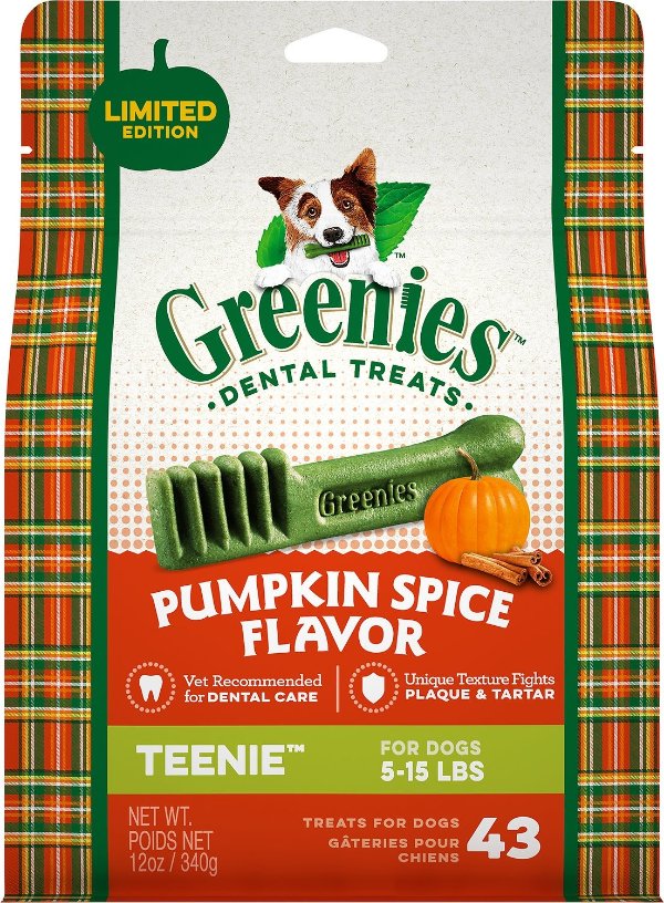 Pumpkin Spice Flavor Dental Dog Treats, Teenie, 43 count - Chewy.com