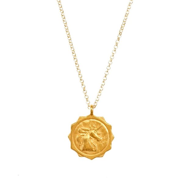 the unicorn coin necklace