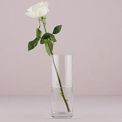 Clear Glass 9.5" Cylinder Vase