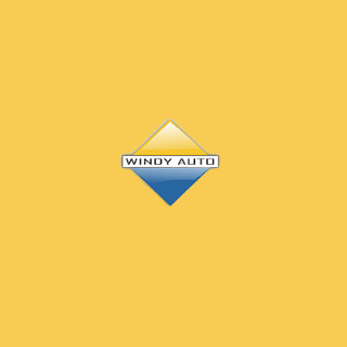 Windy Auto Sales - 芝加哥 - Chicago
