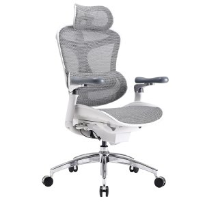 SIHOO Doro C300 Pro 升级版高端人体工学椅