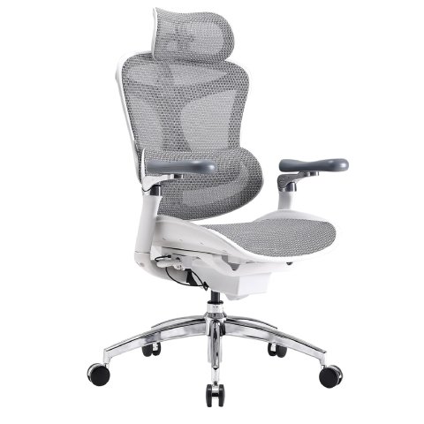 Doro C300 Pro 升级版高端人体工学椅