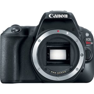 Canon EOS SL2 & 6D Mark II 单反预定