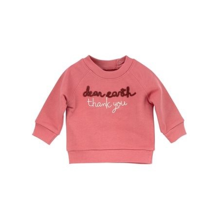 Pink Long Sleeve Pullover Sweatshirt (Baby Girls)