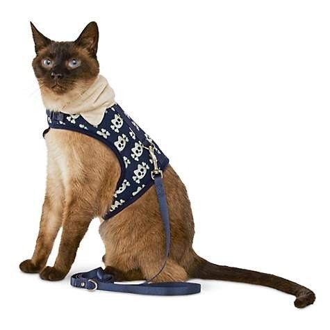 Kitty and Crossbones Hooded Cat Harness and Leash Set