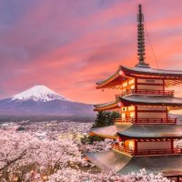 日本 8天机酒含富士山行程和导游 