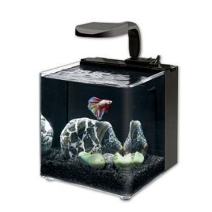 Aqueon Evolve LED Aquarium Kit