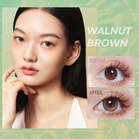 Walnut Brown Contacts 1-Day Highlight Pro (10pcs)
