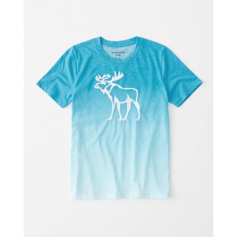 abercrombie kids clearance