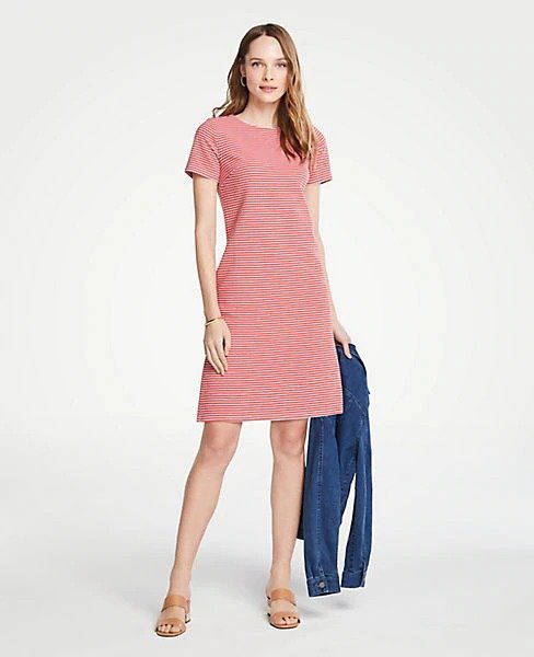 Stripe Knit Short Sleeve Shift Dress | Ann Taylor
