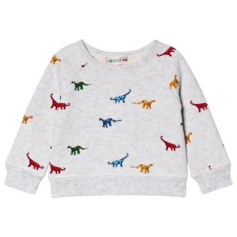Grey Dinosaur Print Sweatshirt | AlexandAlexa
