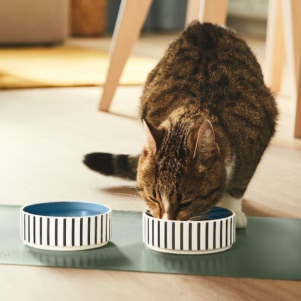 UTSADD Pet bowl, stripe pattern black-blue/gray-blue, 4 ½ "