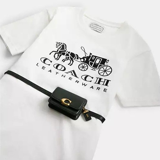 Bandit Card Case Belt Bag & Horse And Carriage T-Shirt