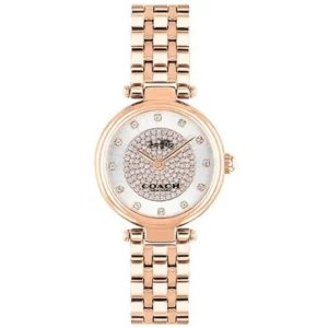 Dealmoon Exclusive: Coach Park Silver Dial Rose Gold Women’s Watch