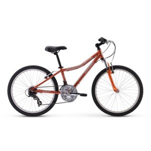 24“ Torker Bike Alpental 自行车