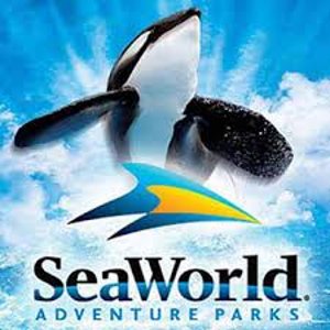 SeaWorld 门票促销 含Orlando, San Diego, San Antonio 每日旅游新鲜事