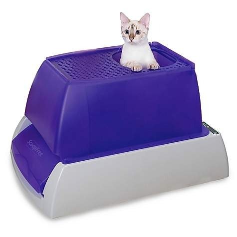 by PetSafe Top-Entry Ultra Self-Cleaning Cat Litter Box with Automatic Disposable Tray, Large | Petco