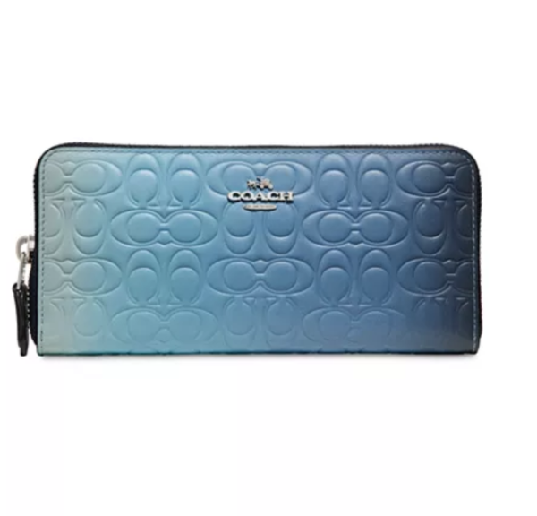 Ombre Signature Leather Accordion Zip Wallet