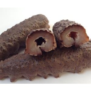 More Dried Light and Frozen Sea Cucumber Sale @ Haishentianxia