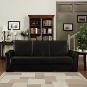 Baja Renu Leather Convert-a-Couch & Sofa Bed