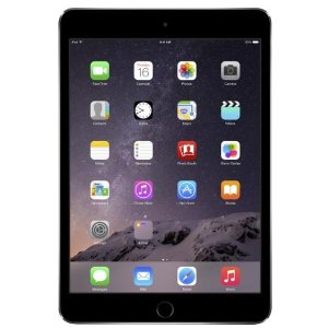 Apple - iPad mini 3 Wi-Fi 16GB - Space Gray