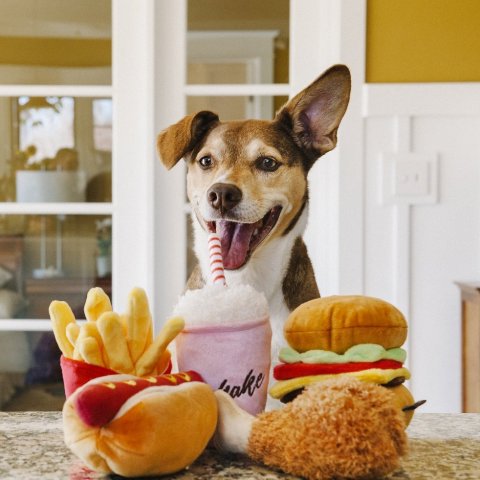 P.L.A.Y. Pet Lifestyle and You Selected Dog Toys on Sale Up to 30 ...