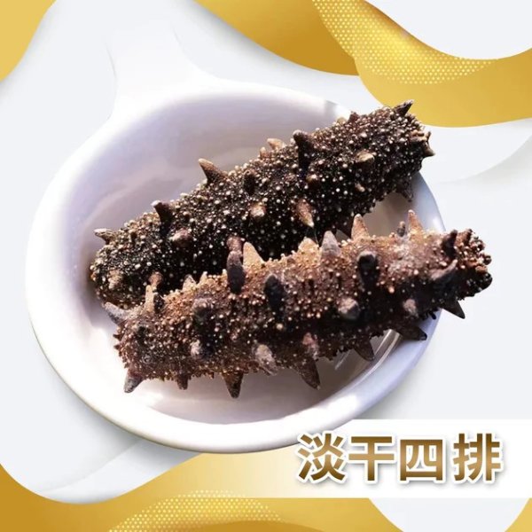 ® AAAAA Dangan Large Dried Sea Cucumber (H50)