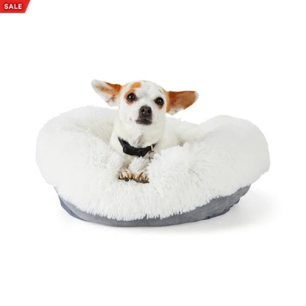 EveryYay Snooze Fest Cream Calming Donut Bed for Dogs, 18" L X 18" W | Petco