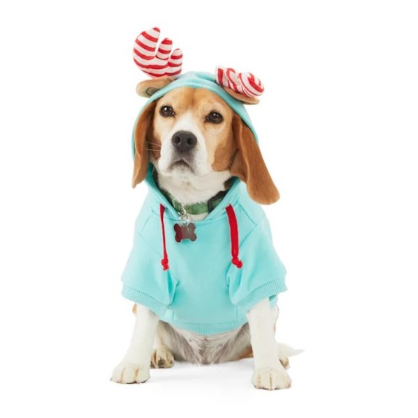 Merry Makings Candy Cane Rein Blue Pet Hoodie, XX-Small | Petco