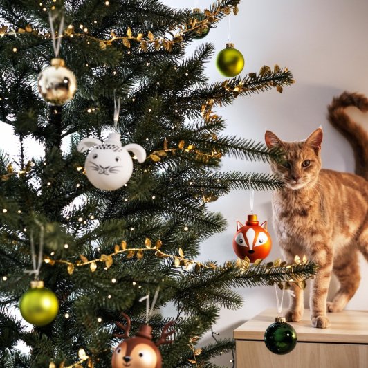 IKEA免费领圣诞树啦！每日每店限量！IKEA免费领圣诞树啦！每日每店限量！