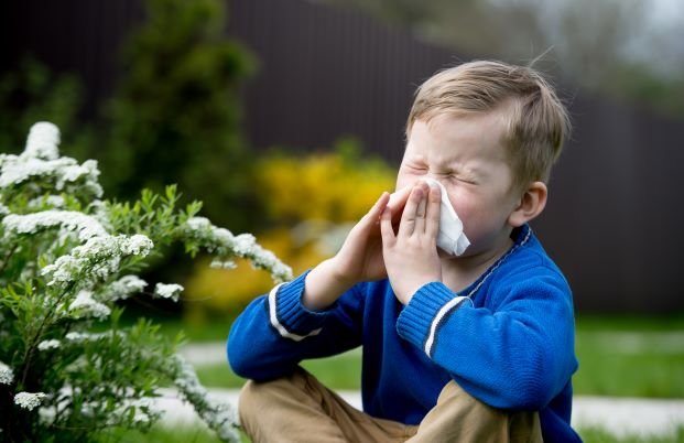 花粉过敏怎么办 花粉症 Hay Fever 科普 花粉过敏症状 预防措施及常用非处方药