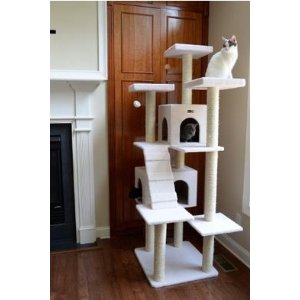 Select Pet Beds, Cat Trees, and Pet Toys @ Amazon.com