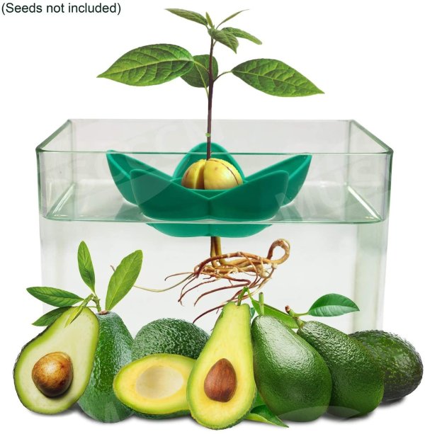 muscccm Avocado Tree Growing Kit Avocado Seed Planting Bowl for Women Kids Mom/Garden Gifts/Kitchen Garden Seed Starter Gift/Indoor Balcony Planting/Valentine's Day Present(Without Seeds)