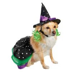 Select Dog Halloween Costumes @ PETCO.com
