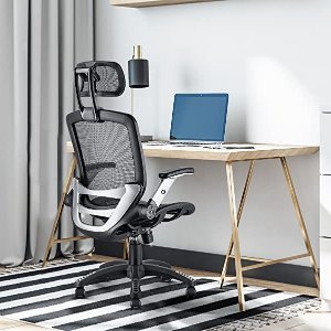 Today Only: GABRYLLY Ergonomic Office Chairs, Task Chair and Executive Chair