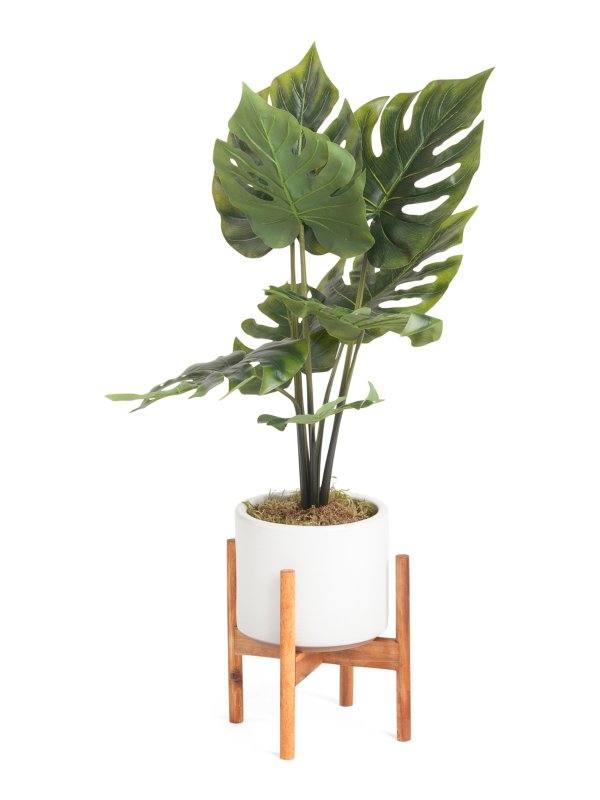 24in Split Leaf Plant In Matte Pot With Stand | Plants & Planters | Marshalls