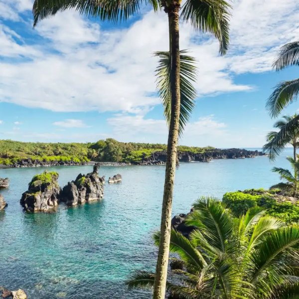 Simply Maui