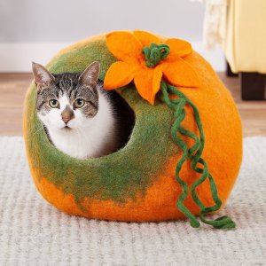 Chewy National Cat Day Selected Cat Products on Sale