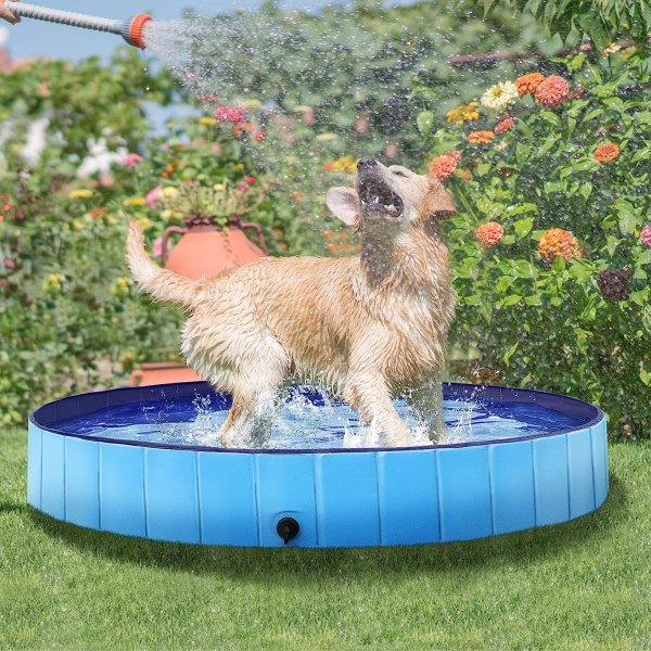63“ Foldable Dog Pool