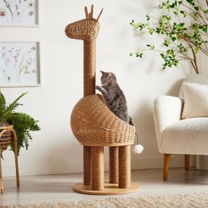 Frisco Cat Tree & Condos & Scratch on sale