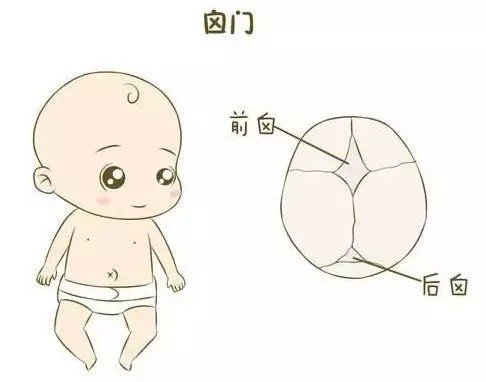 v2-9aae6eff863540c97e47b4d0ec5083a5_b.jpg